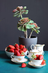 Cup of tea with strawberries and succulent plant on dark background with space for text. Eating fresh concept. 