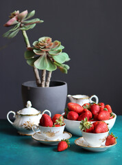 Cup of tea with strawberries and succulent plant on dark background with space for text. Eating fresh concept. 