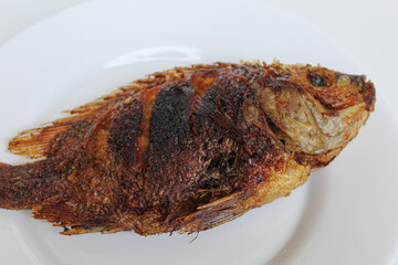 Fried gourami fish on a white plate, isolated on white background