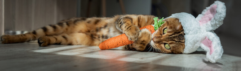 Bengal cat with a carrot toy and a headband with ears on his head.
