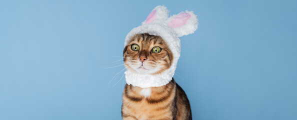 Cute Bengal cat in a bunny costume.