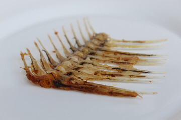 One Gourami fish bone, on white plate, isolated on white background