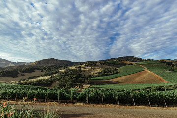 Fototapeta premium California, Sonoma