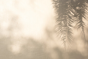 Grey shadow of natural palm leaf abstract background falling on white wall texture for background...