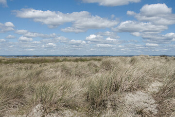 sand dunes on the beach at West Wittering West Sussex England