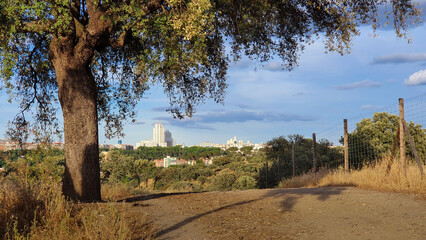 Obraz premium Image of the skyline of Madrid, Spain