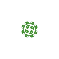 Circle Of Leaves Vector