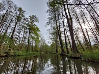 Kanalfahrt im Spreewald