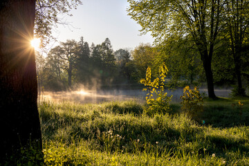 Fog illuminated by rays of rising sun over ponds