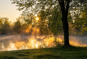 Fog illuminated by rays of rising sun over ponds