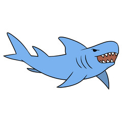 shark illustration hand drawn isolated vector	

