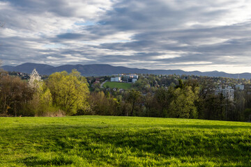Meadow, trees and mountains on the horizon under a dramatic sky.