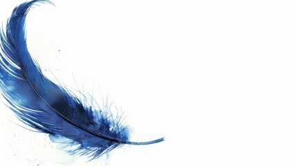   A tight shot of a blue bird feather against a pristine white backdrop, reflecting the wing's image