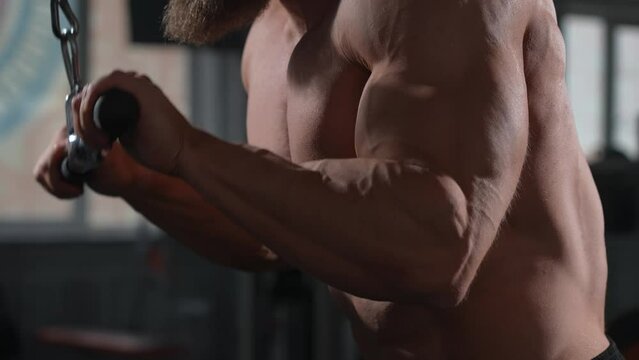 Bald Caucasian Bodybuilder doing heavy triceps exercises with cable. 