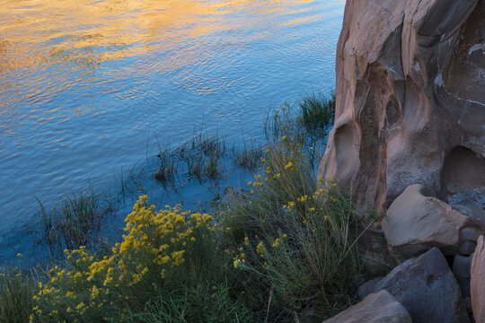 Usa, New Mexico, Abiquiu, Rio Chama, Bushes and grass growing at Chama River