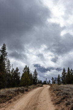 USA, Idaho, Dirt road leads through Sawtooth National Forest on cloudy day