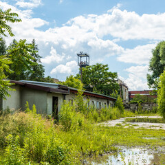 Nature wins over mankind. Here nature is reclaiming an abandoned part of a coal mine in Gliwice, Poland. All it needs is time.