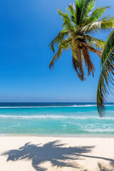 Tropical beach background. Sunny beach with palms and turquoise sea in tropical island.