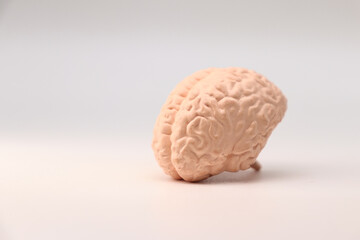 Obraz premium Pink human brain with front view isolated on white background with copy space