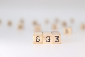 SGE word. Concept of Search Generative Experience written on wooden cubes isolated on white...
