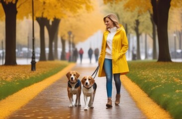 A girl walks in an autumn park after the rain, walks with two beagles