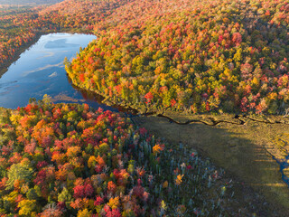 aerial view of autumn forest and mountain in New England