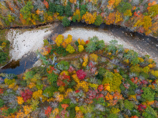 aerial view of brook in colorful autumn forest