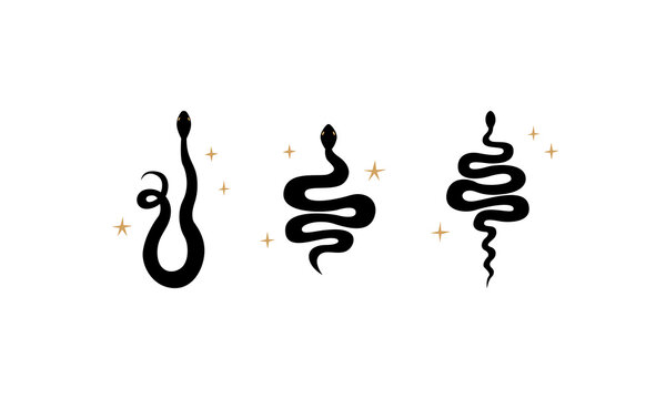 Set of minimalist silhouettes of snakes. Vector flat illustration in boho style. Reptile symbols. 