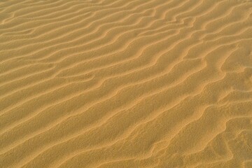 sand beach dunes in the summer sundown. tropical dry sand background. sand ripples in the desert