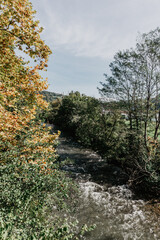 Wild river with trees and plants in the north of Spain