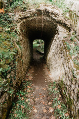 Small tunnel in a forest in northern Spain