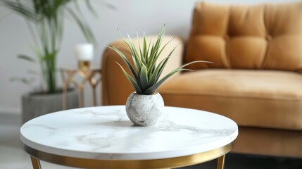 Modern living room with marble coffee table and decorative plant