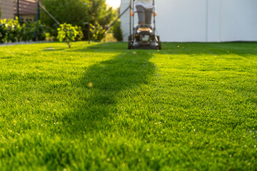 green grass cutting with lawn mower in home garden