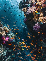 Vibrant Coral Reef Ecosystem Teeming with Abundant Marine Life