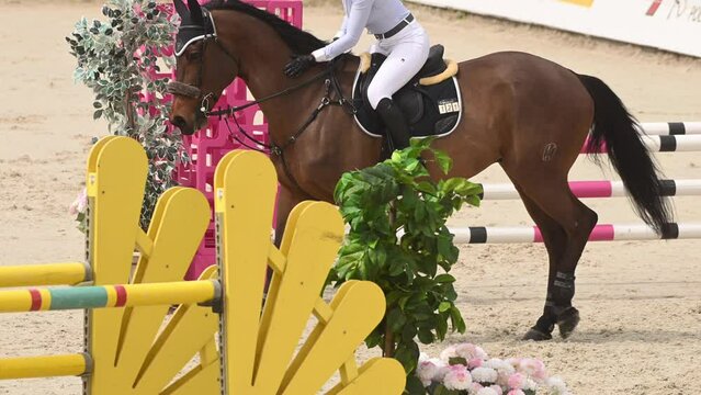 A person riding a horse on a track during a professional equestrian sport horse jumping competition