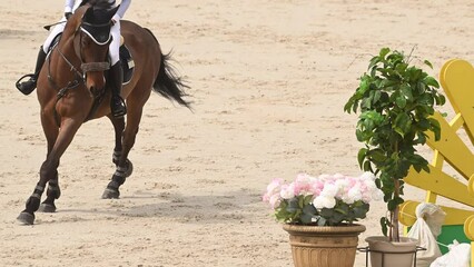 A professional equestrian rider jumps a horse over a hurdle in a competitive sports event