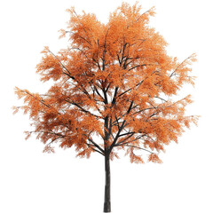 Tree or bush, no background , various types of trees.