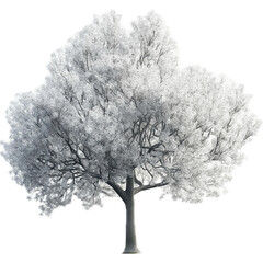 Tree or bush, no background , various types of trees.