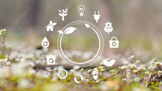 Circular economy concept for future business growth and environmental sustainability and reduce pollution for future business and environmental growth.Crystal gloge with digital icons no logo 4k