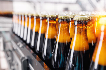 Banner Beer brewery conveyor. Brown glass alcohol bottles move on production line, modern equipment industrial drink with copy space - Powered by Adobe