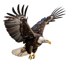 Obraz premium Flying eagle isolated on transparent background PNG cut out.