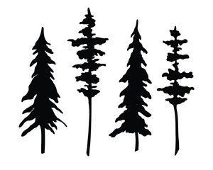 Set of Coniferous Trees silhouette. Vector illustration with Pines and Spruce. Engraving of forest plants painted by black inks. Etching of evergreen park on isolated background for icon.