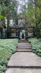 a woman walks through a stone path with plants on the side
