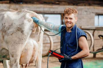 Farmer vet doctor young man use ultrasound device for rectal checking cow pregnancy. Concept...