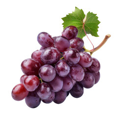 Fototapeta premium Bunch of Grapes Ripe and Ready: The Allure of Fresh Grapes