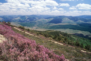 Wild Pirineo Mountains in Spring