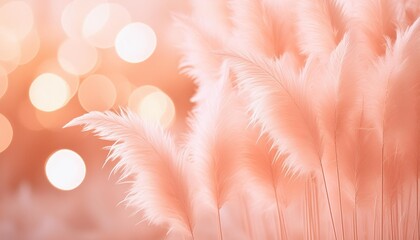 pampas grass pastel peachy color embracing new year 2024 color peach fuzz