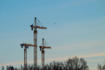 Three tall construction cranes in the distance.