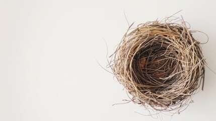 Obraz premium Whispers of Nature: Delicate Birds Nest Perched on Pure White