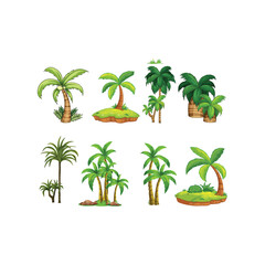 Obraz premium palm trees and palms